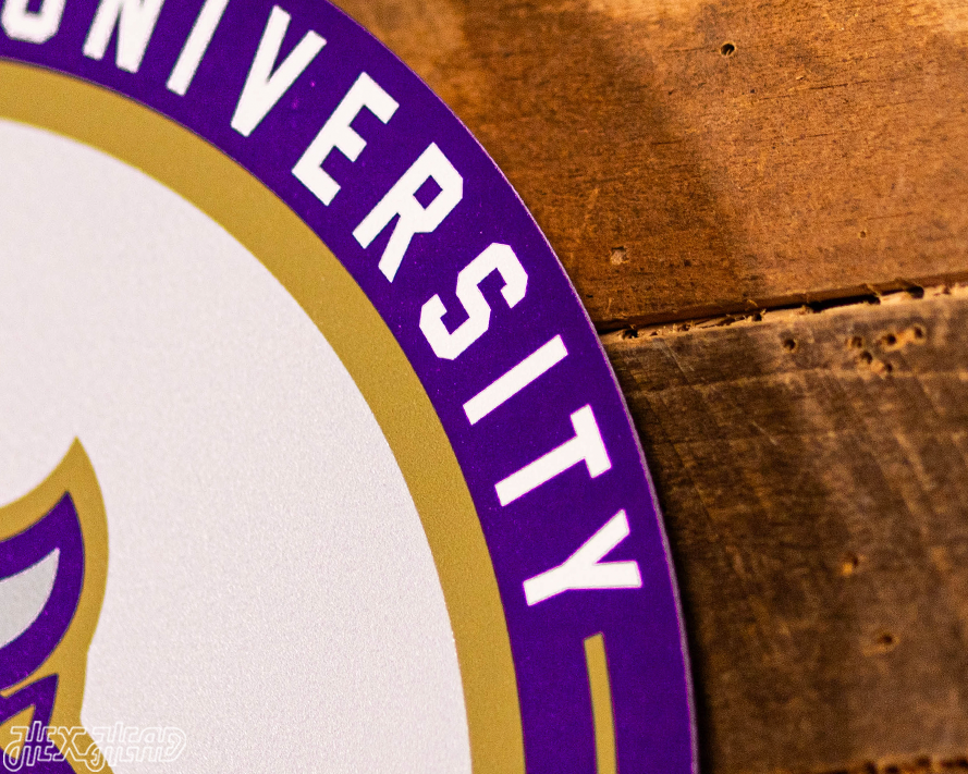 VARSITY Collection- SINGLE Layer James Madison Dukes Metal Wall Art