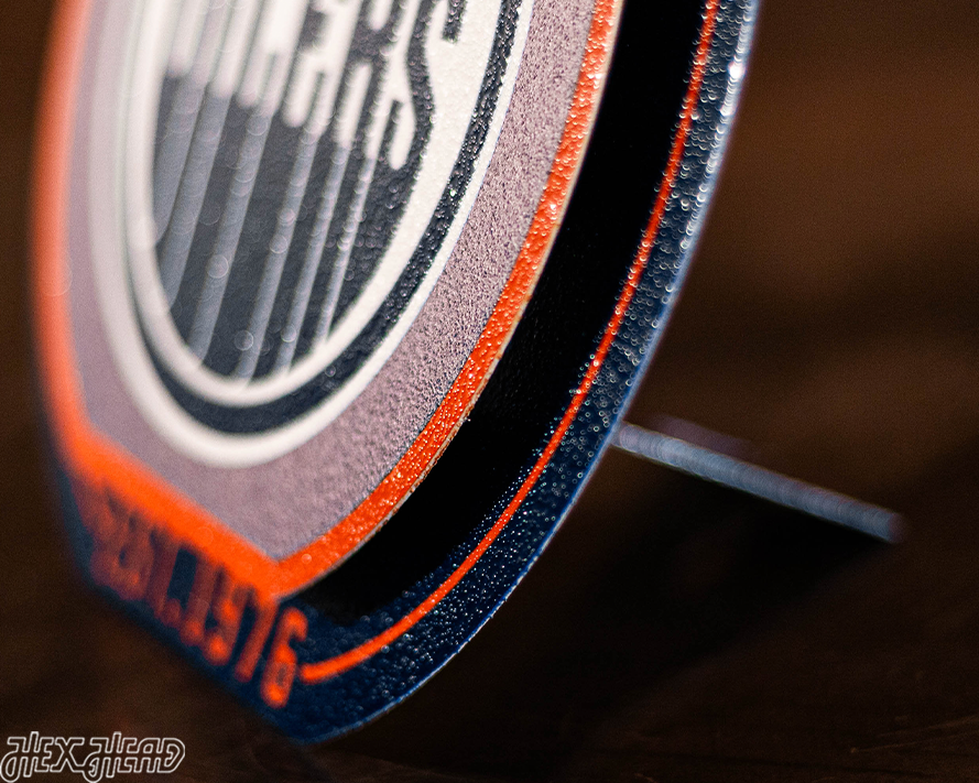 Edmonton Oilers "Double Play" On the Shelf or on the Wall Art