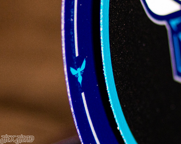 Charlotte Hornets "Double Play" On the Shelf or on the Wall Art