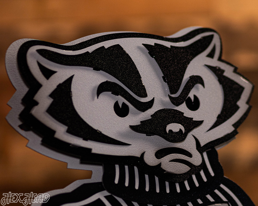 MONOCHROME -  Wisconsin "BADGER"  3D Vintage Metal Wall Art