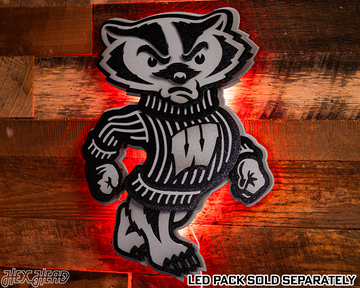 MONOCHROME -  Wisconsin "BADGER"  3D Vintage Metal Wall Art