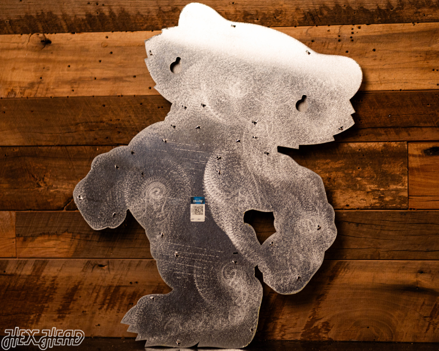 MONOCHROME -  Wisconsin "BADGER"  3D Vintage Metal Wall Art