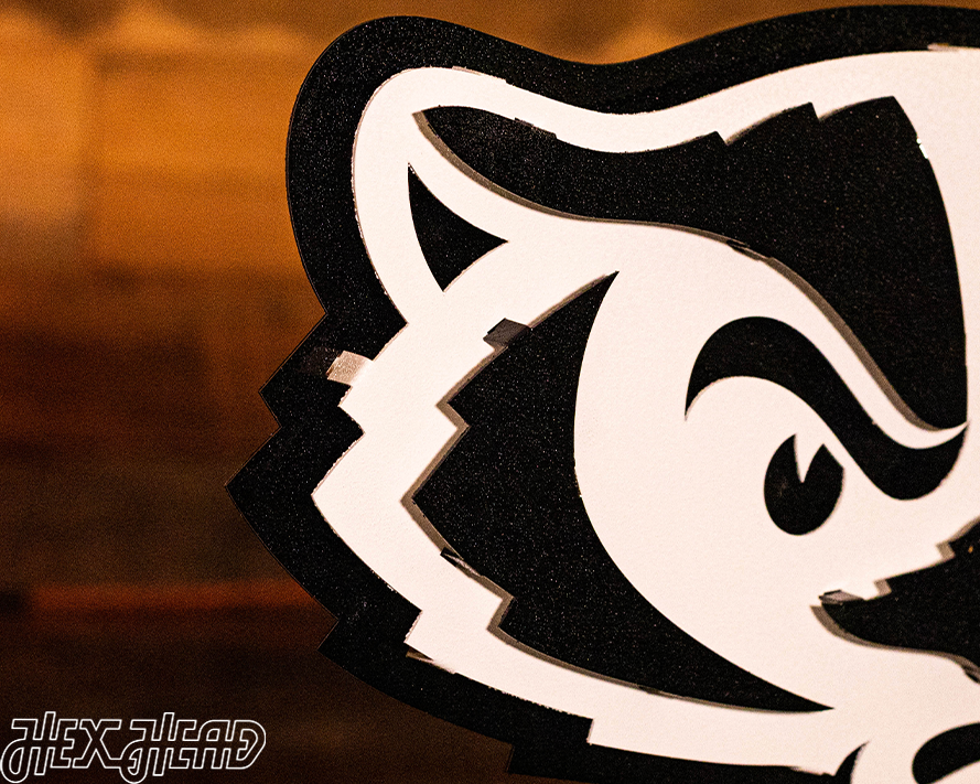 Wisconsin Badgers Mascot Head 3D Vintage Metal Wall Art