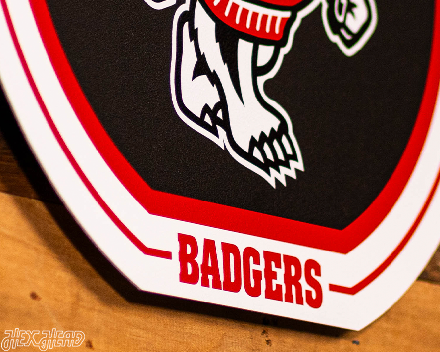 VARSITY Collection- SINGLE Layer Wisconsin Badgers Metal Wall Art