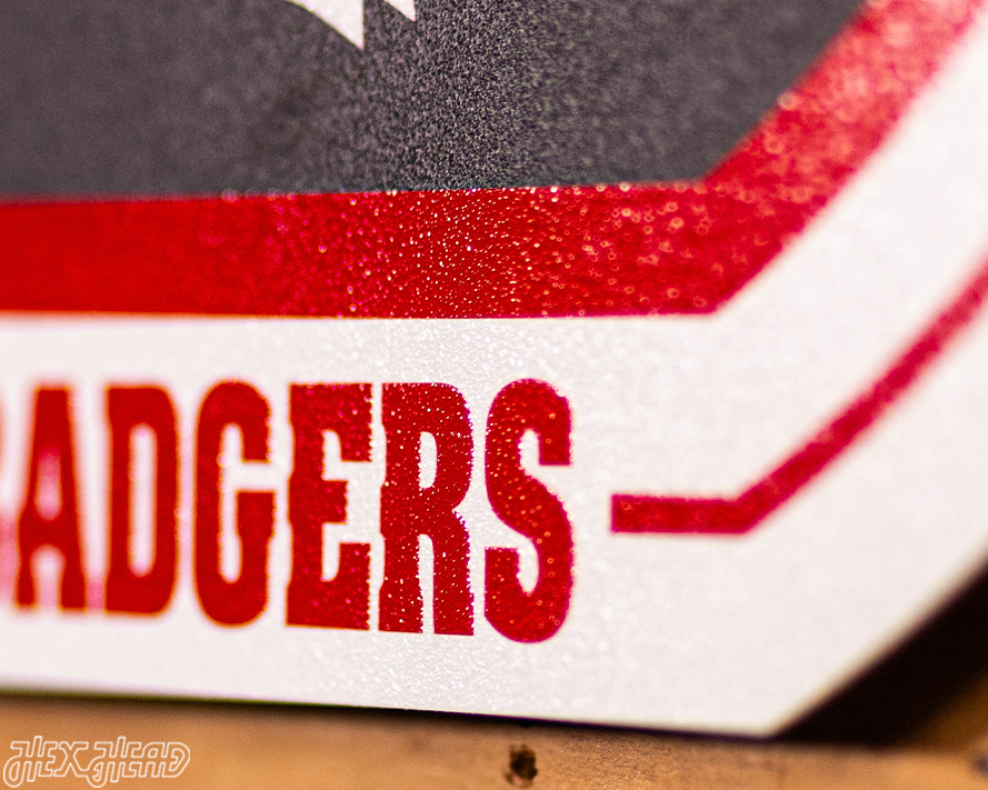 VARSITY Collection- SINGLE Layer Wisconsin Badgers Metal Wall Art