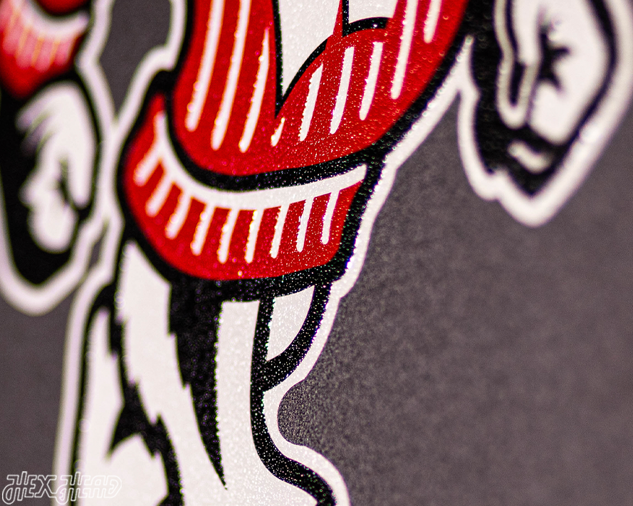 VARSITY Collection- SINGLE Layer Wisconsin Badgers Metal Wall Art