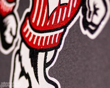 VARSITY Collection- SINGLE Layer Wisconsin Badgers Metal Wall Art