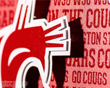 Washington State Cougars CRAFT SERIES 3D Embossed Metal Wall Art