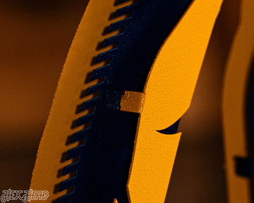 West Virginia "MOUNTAINEER" 3D Metal Artwork