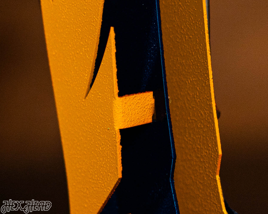 West Virginia "MOUNTAINEER" 3D Metal Artwork