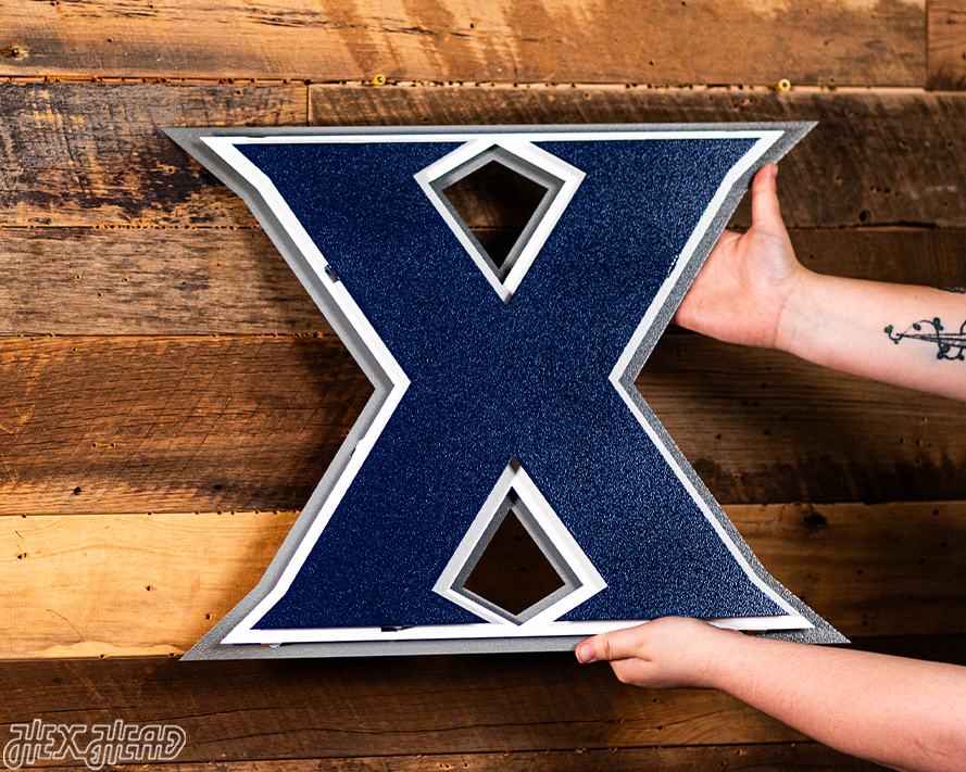 Xavier "X" 3D Vintage Metal Artwork