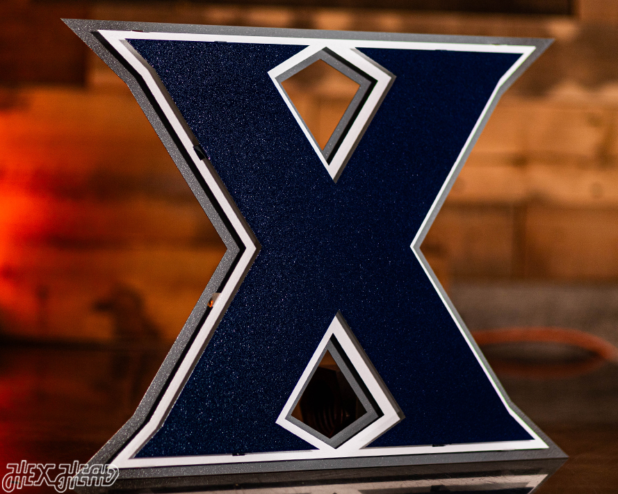 Xavier "X" 3D Vintage Metal Artwork