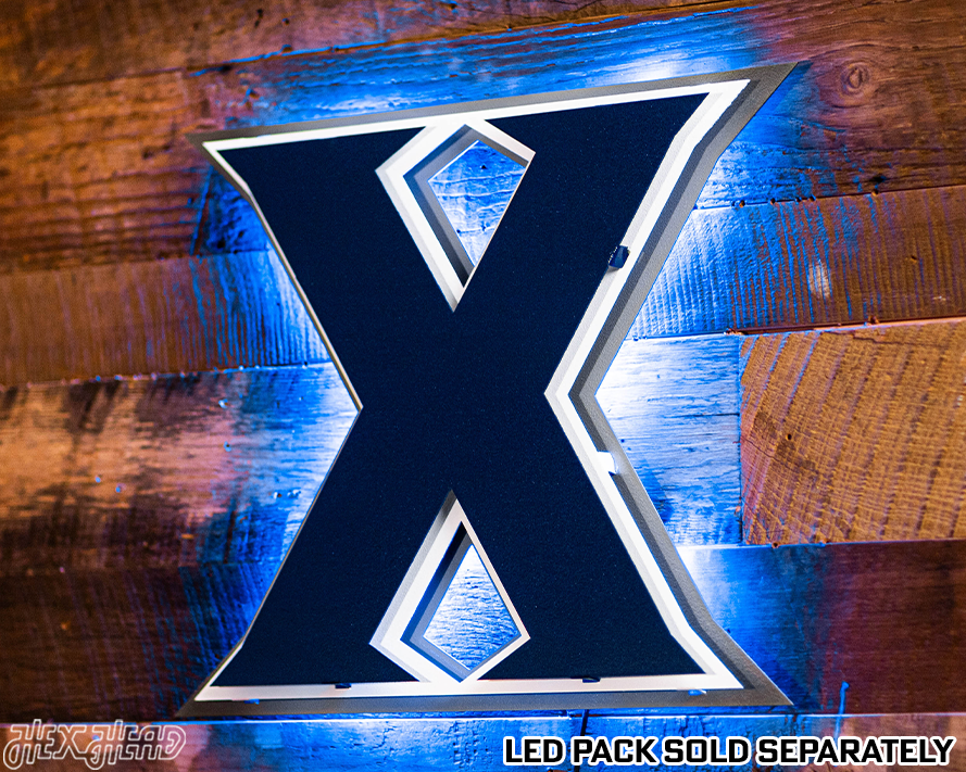 Xavier "X" 3D Vintage Metal Artwork