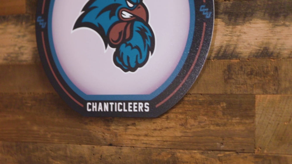 VARSITY Collection- SINGLE Layer Coastal Carolina Metal Wall Art