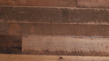 Michigan State Spartans "Double Play" On the Shelf or on the Wall Art