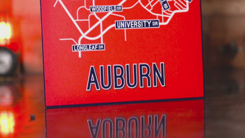 Auburn School Street Poster Single Layer Metal Wall Art