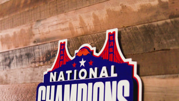 Florida Gators 2025 National Basketball Champions 3D Vintage Metal Wall Art