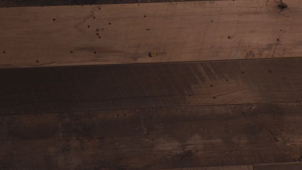 Seattle Seahawks "Double Play" On the Shelf or on the Wall Art