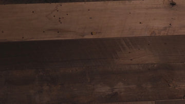 Seattle Seahawks "Double Play" On the Shelf or on the Wall Art