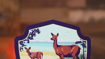 Indiana Dunes National Park Badge 3D Metal Wall Art