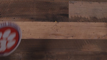 Clemson Tigers "Double Play" On the Shelf or on the Wall Art