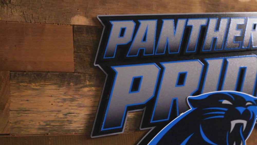 Carolina Panthers - Hex Head EXCLUSIVE "PANTHERS PRIDE" Wordmark 3D Metal Wall Art