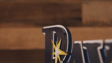 Tampa Bay Rays Primary logo 3D Metal Wall Art