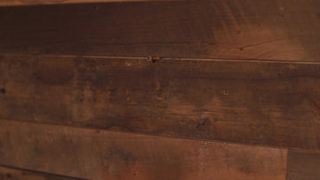 Detroit Lions "Double Play" On the Shelf or on the Wall Art