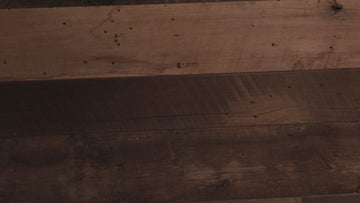 Tennessee Titans "Double Play" On the Shelf or on the Wall Art