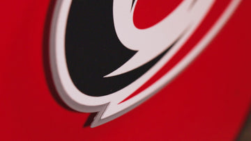 Carolina Hurricanes CRAFT SERIES 3D Embossed Metal Wall Art