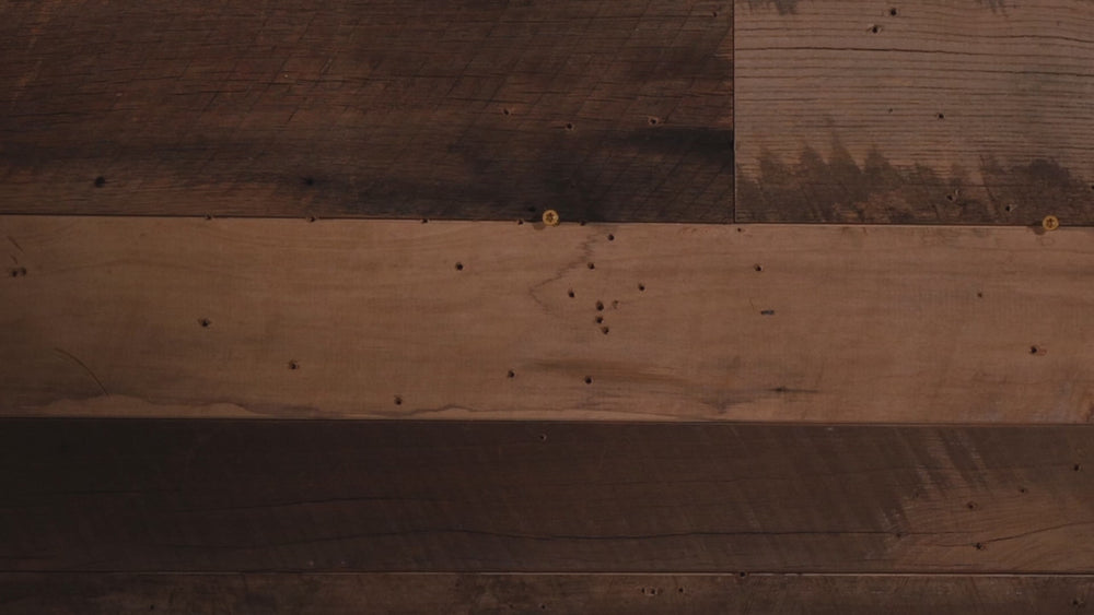 Pittsburgh Steelers Double Play On the Shelf or on the Wall Art