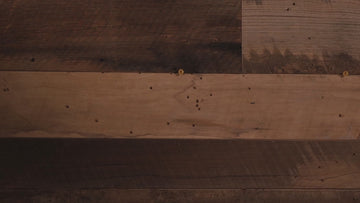 Pittsburgh Steelers Double Play On the Shelf or on the Wall Art