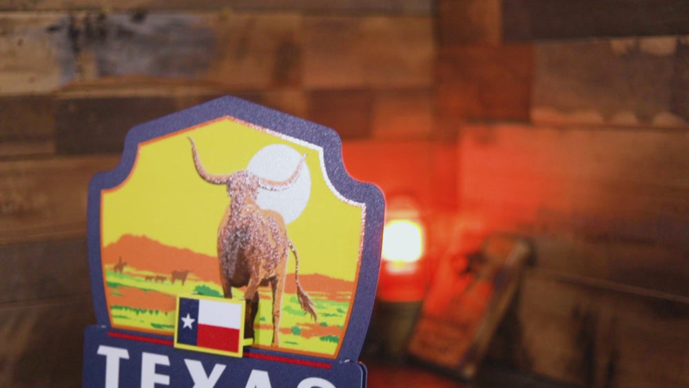 Texas State Badge 3D Metal Wall Art