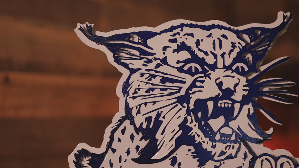 Kentucky Wildcats "1973" 3D Vintage Metal Wall Art