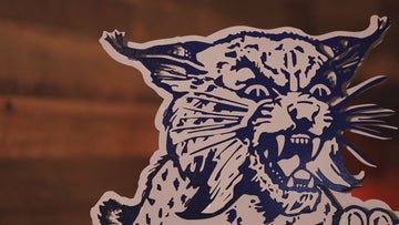Kentucky Wildcats "1973" 3D Vintage Metal Wall Art