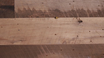 San Francisco 49ers Super Bowl XXIV "DOUBLE PLAY" On The Shelf or On The Wall