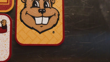 Minnesota Golden Gophers - SET of 3 Magnets