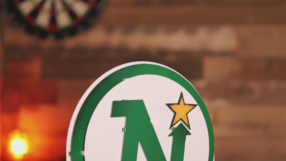 Minnesota North Stars 3D Vintage Metal Wall Art