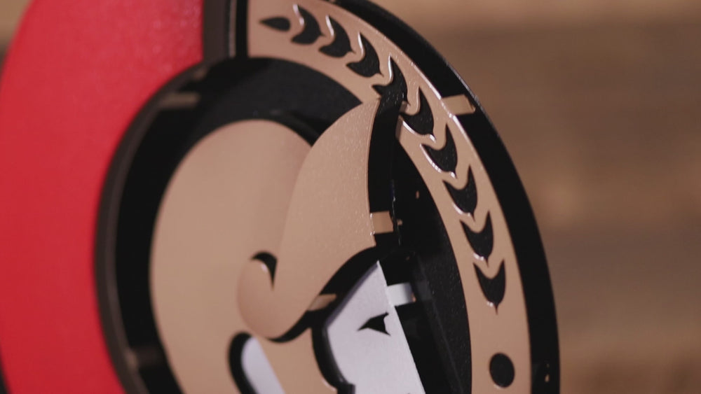 Ottawa Senators 3D Vintage Metal Wall Art