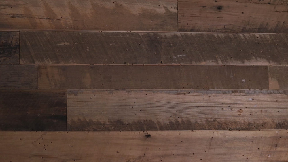 Colorado Buffaloes "Double Play" On the Shelf or on the Wall Art