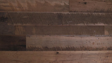 Colorado Buffaloes "Double Play" On the Shelf or on the Wall Art