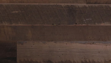 Boston Red Sox "Double Play" On the Shelf or on the Wall Art