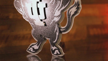 MONOCHROME - Indiana Hoosiers "1960's BISON" 3D Vintage Metal Wall Art