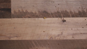 Kansas City Chiefs Super Bowl IV "Double Play" On The Shelf or On The Wall