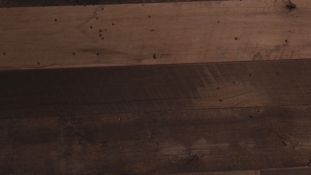 Chicago Bears "Double Play" On the Shelf or on the Wall Art