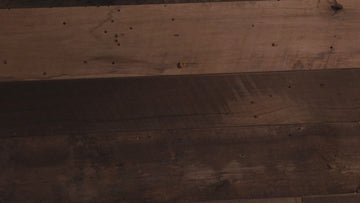 Chicago Bears "Double Play" On the Shelf or on the Wall Art