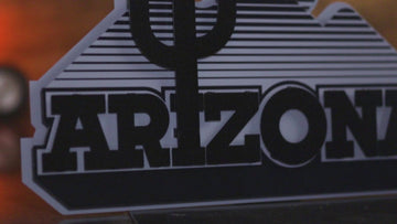 MONOCHROME - Arizona Wildcats Vintage "Cactus" Desert logo