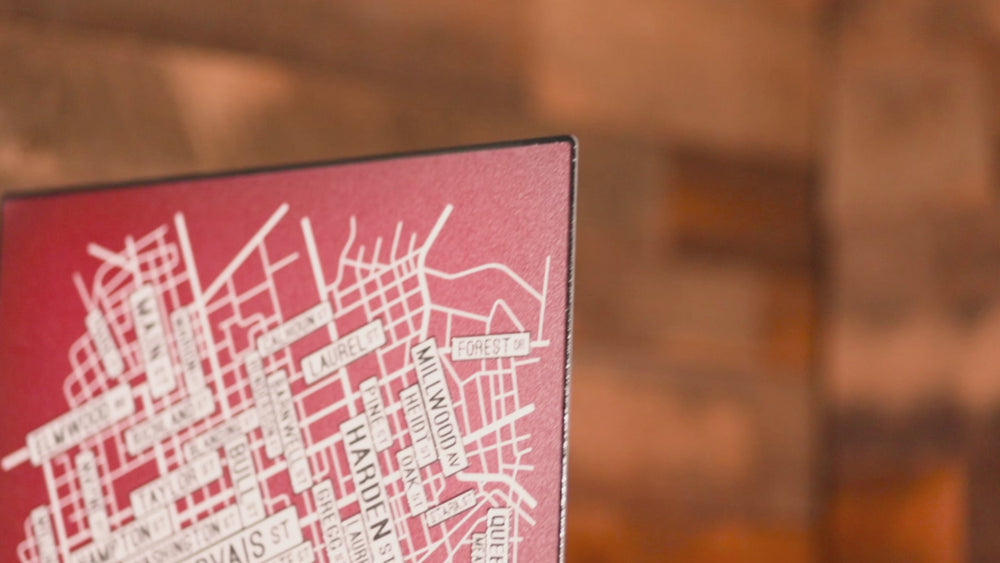 Columbia, South Carolina School Street Poster Single Layer Metal Wall Art