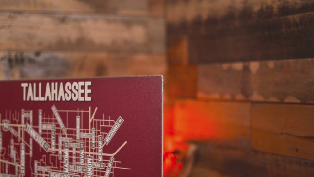 Tallahassee, Florida School Street Poster Single Layer Metal Wall Art