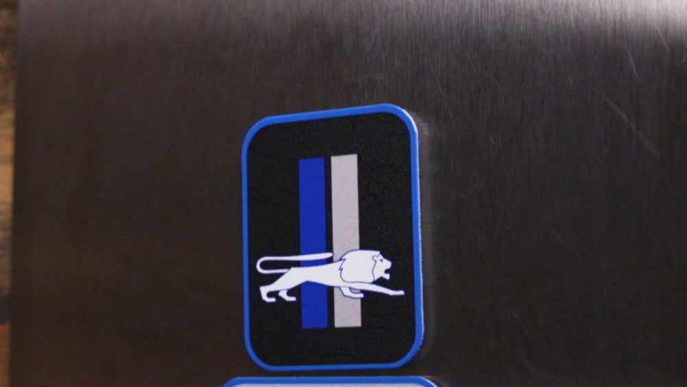 Detroit Lions - SET of 3 Magnets